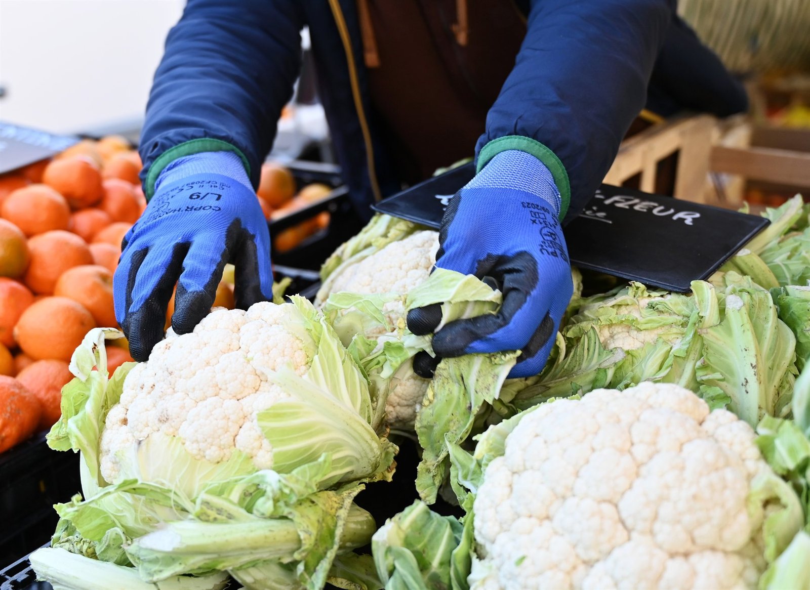Mains gantées disposant des choux-fleurs sur un étal